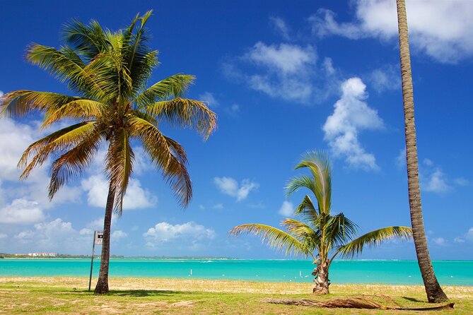 PR Chinchorreo-Beach and Bar Hopping Tour - Humacao closes the east-side route