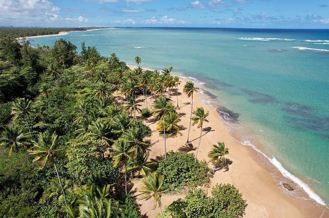 PR Chinchorreo-Beach and Bar Hopping Tour - Is $135 a fair price?