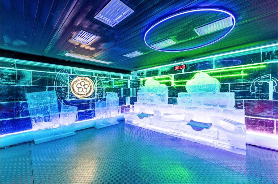 Prague: Entry ticket to Ice Pub Prague with Nightclub Option - Ice sculptures, seats, and photo opportunities