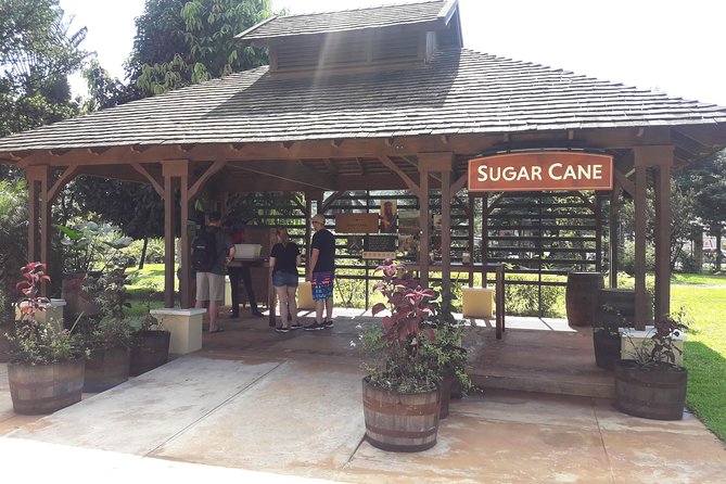 Private Appleton Estate Rum and Pelican Bar Tour from Montego Bay - Why this Montego Bay day trip works