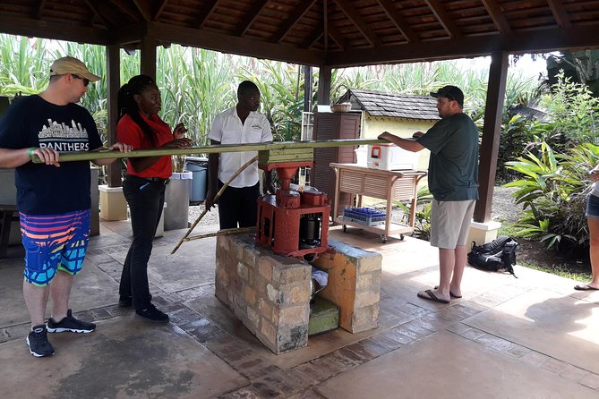 Private Appleton Estate Rum and Pelican Bar Tour from Montego Bay - What makes the estate visit worth your time