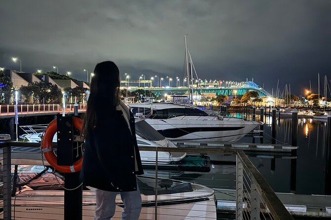 Private Night Tour of Auckland, Sky Tower Bar, Bridge & Museum - Crossing the Harbour Bridge after sunset