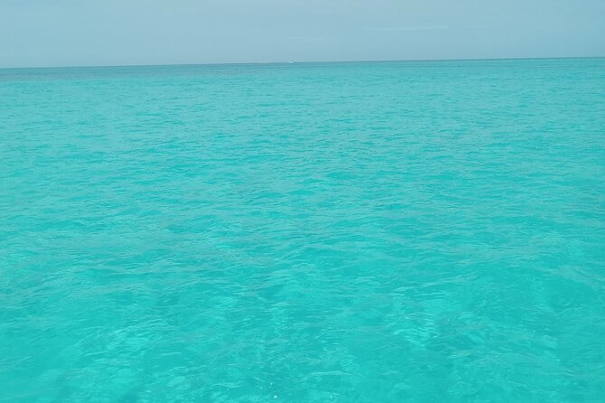 Private speed boat beach and bar hopping visiting Rose island - Key Points to Know Before You Go