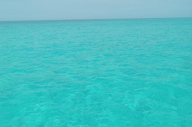 Private speed boat beach and bar hopping visiting Rose island - What the $850 Group Price Really Means