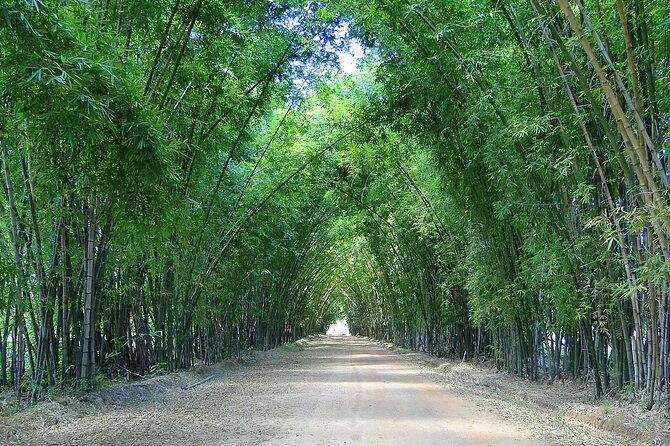Private Tour from Negril to YS Falls and Pelican Bar - Alligator Pond Bamboo Avenue