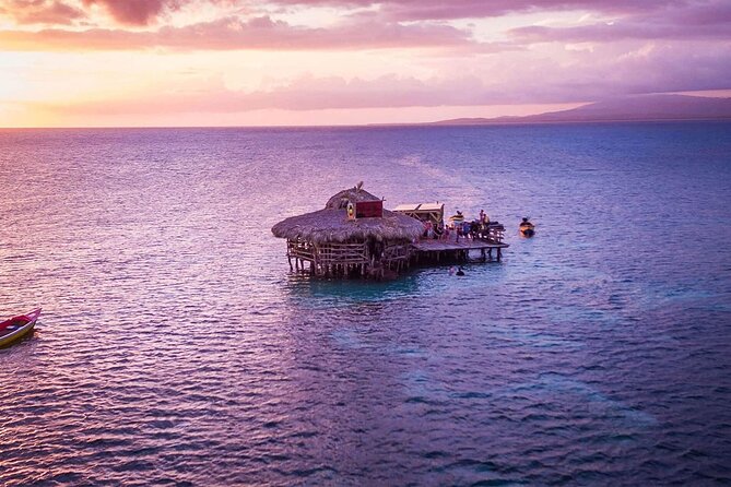 Private Tour from Negril to YS Falls and Pelican Bar - What the private price really buys you