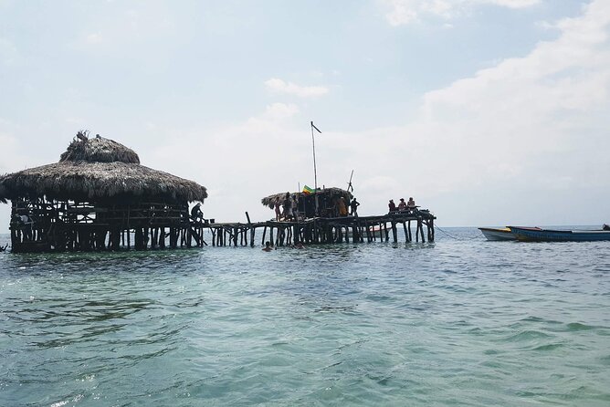Private Tour from Negril to YS Falls and Pelican Bar - Who will enjoy this outing most