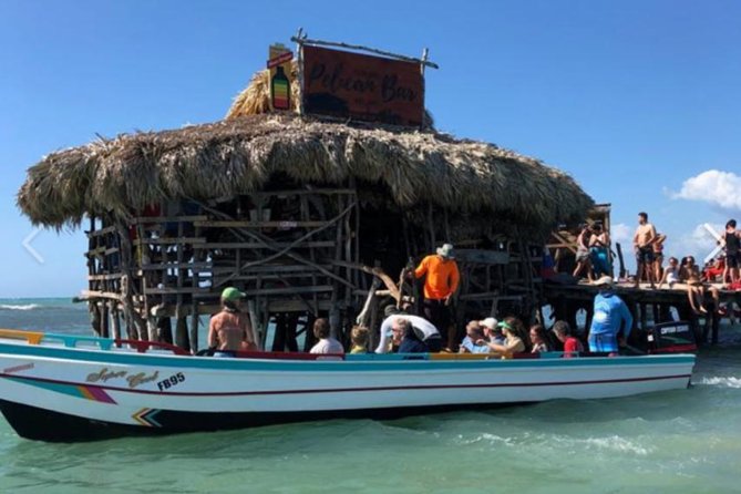 [PRIVATE] YS Falls, Black River, Pelican Bar - Entrance & Lunch - Black River by boat, with crocodiles and river history