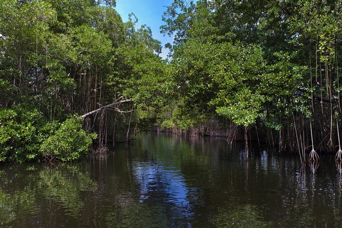 [PRIVATE] YS Falls, Black River, Pelican Bar - Entrance & Lunch - Lunch, drinks, and what the $347 price covers
