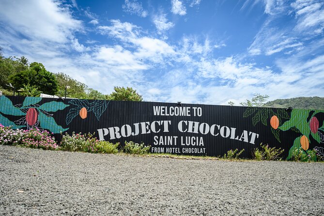 Project Chocolat Tree to Bar Tour at Hotel Chocolat Saint Lucia - Walking through Rabot Estate’s cacao groves