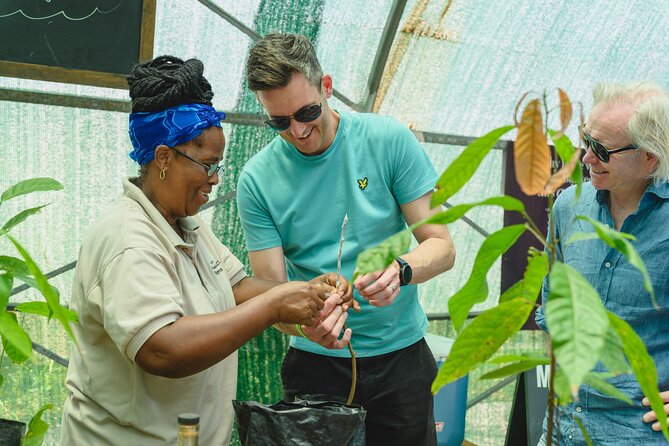 Project Chocolat Tree to Bar Tour at Hotel Chocolat Saint Lucia - Cacao cuisine at lunchtime