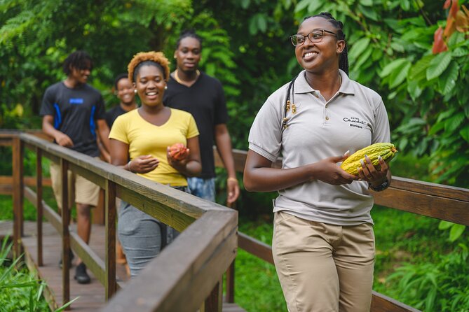 Project Chocolat Tree to Bar Tour at Hotel Chocolat Saint Lucia - Is the $124 price fair?