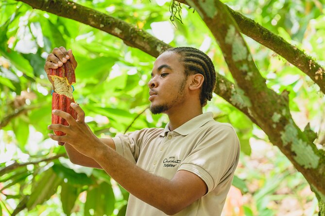 Project Chocolat Tree to Bar Tour at Hotel Chocolat Saint Lucia - The chocolate workshop takes real effort