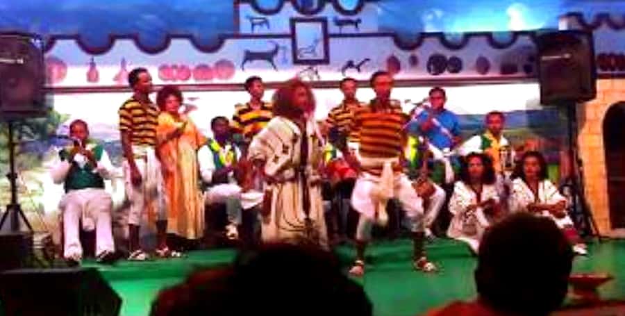 Pup crawl and nightlife tour in Addis Ababa. - The four-hour route through three party spots