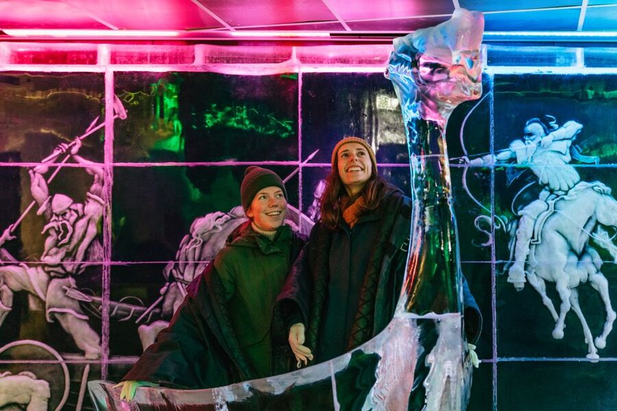 Reykjavik: Magic Ice Bar Entrance and Welcome Drink - The drawbacks you should weigh