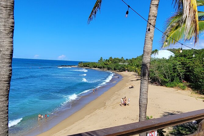 Rincon Tour Sunset & Nightlife Experience - Why this evening works well in Rincón