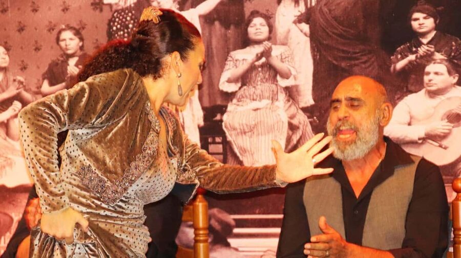 Seville: Flamenco Show & Cocktail Experience - Should you book La Cantaora Sevilla?