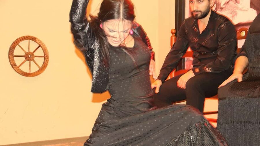 Seville: Flamenco Show & Cocktail Experience - Who will enjoy this Seville flamenco experience