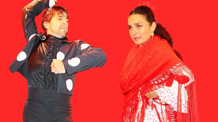 Seville: Flamenco Show & Cocktail Experience - What happens during the one-hour show