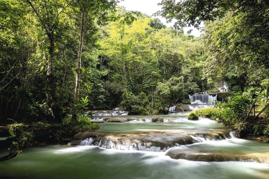 Shared or Private FD Appleton Rum, YS Falls & Pelican Bar - Lunch, a Jamaican Patty, and the Value of an All-Day Package