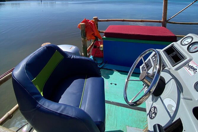 Shark & Ray Afternoon Swim Tiki Bar Cruise - Key points to know before you book