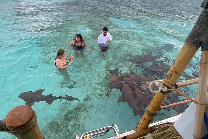 Shark & Ray Afternoon Swim Tiki Bar Cruise - What the 1:00 PM Cruise Feels Like