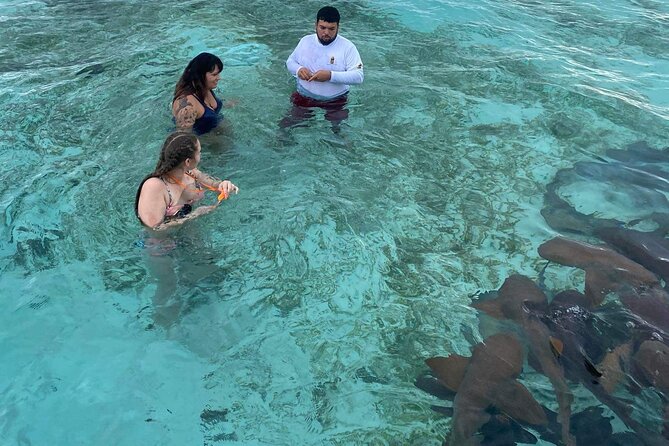 Shark & Ray Afternoon Swim Tiki Bar Cruise - Who Will Enjoy This Most?