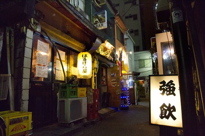 Shinjuku Golden-gai and Kabuki-cho Bar Hopping with Master Guide - Godzilla Road in Kabukicho