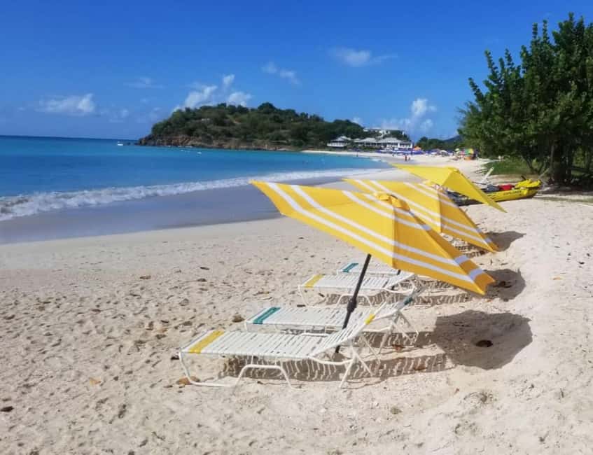 Sip & Paint with lunch on exciting Ffryes Tiki beach Bar - The painting class and your take-home souvenir