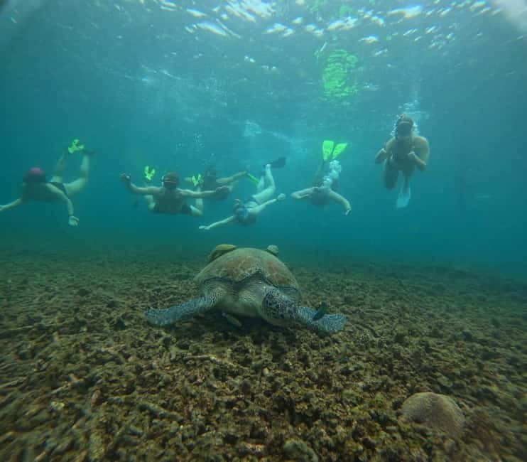 Snorkeling Tour with meals and BBQs - Cocktail - Sunset⭐⭐⭐⭐⭐ - Key points to know before booking