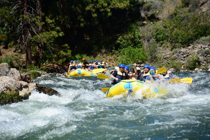 South Fork, American River: Chili Bar (Class III+ Whitewater) - Meat Grinder gives the morning a quick start