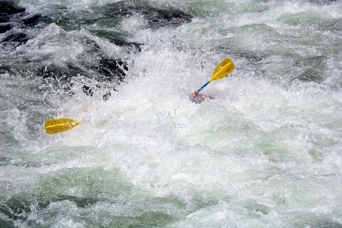 South Fork, American River: Chili Bar (Class III+ Whitewater) - Class II and III water with a guide-led pace