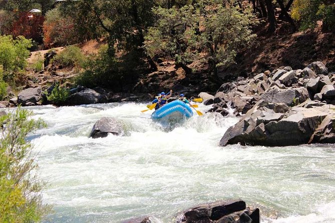 South Fork, American River: Chili Bar (Class III+ Whitewater) - Meeting at 8:30 a.m. near Placerville