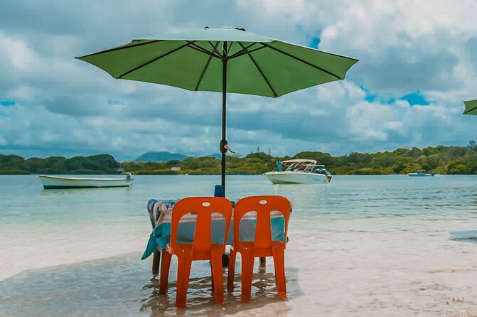 Speedboat Ile aux Cerfs + GRSE Waterfall, BBQ and Bar - Is this a guided tour or a boat outing?