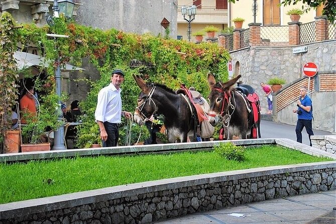 Taormina: Private/Guided Godfather with Granita at Bar Vitelli - Who will enjoy this tour most