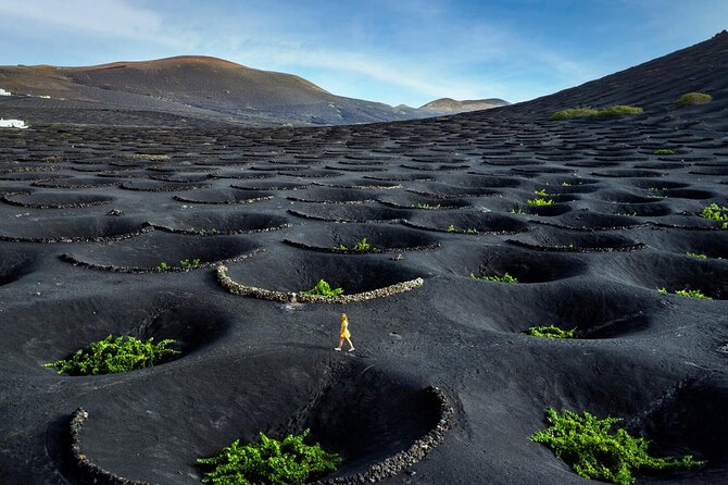 Taste Tradition 4 Wineries and Tapas Bar - Why Lanzarote wine feels unlike wine anywhere else