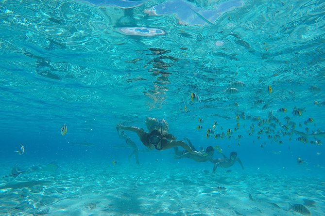 Toa Boat Bora Bora Private Lagoon Tour On Entertainer Bar Boat - Why a private bar boat changes the Bora Bora day