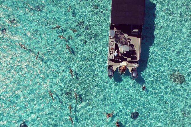 Toa Boat Bora Bora Private Lagoon tour with Lunch on Entertainer Bar Boat - Rain, conditions, and what to pack