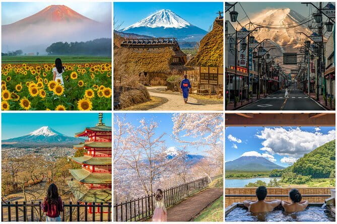 Tokyo Ueno Food & Nature & Localtown Tour: 10Dishes+ Drinks - The human touch from Sakura and the guide team