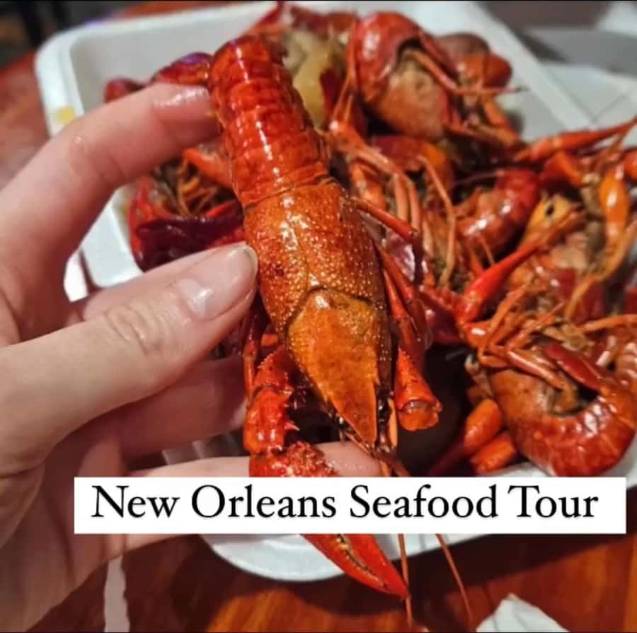 Treme Bar Crawl & Seafood Experience - Booking value, cancellation, and access
