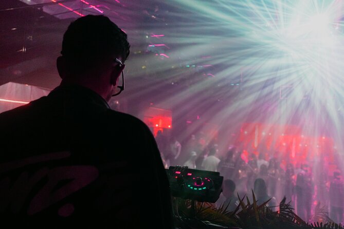Tropicalia Disco – Party Night – Nightclub - Visuals, decoration, and the dance floor
