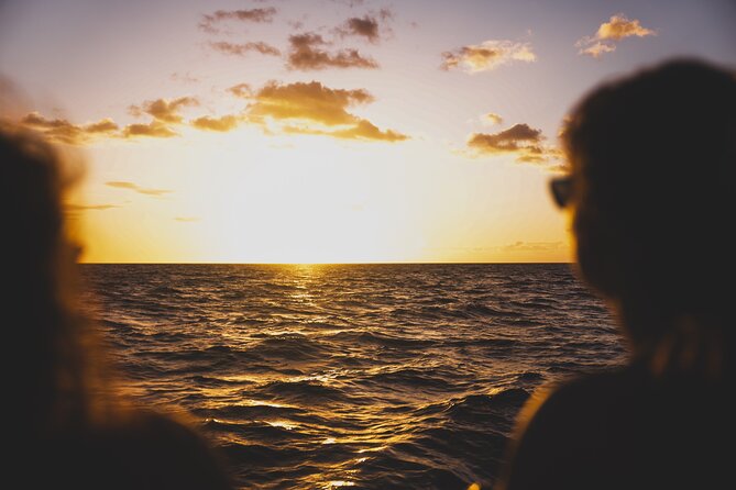 West Oahu Sunset Cocktail Cruise with Appetizers - Dolphins, Turtles, Whales, and Flying Fish