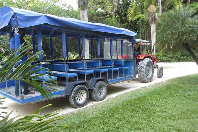 YS Falls and The Pelican Bar Adventure Tour from Negril - Two very different sides of Jamaica in one day