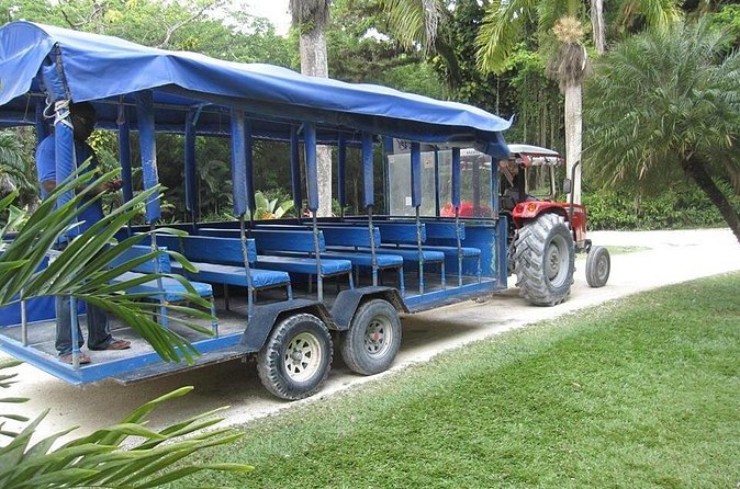 YS Falls and The Pelican Bar Adventure Tour from Negril - What the $229.62 price really covers