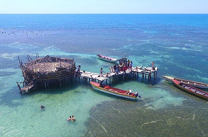 YS Falls and The Pelican Bar Adventure Tour from Negril - Who will enjoy this south coast day