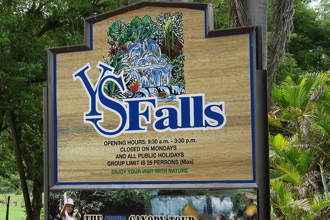 YS Falls, Black River Safari, and Floyd's Pelican Bar Day-Trip (Transportation) - One private day across Jamaica’s south coast