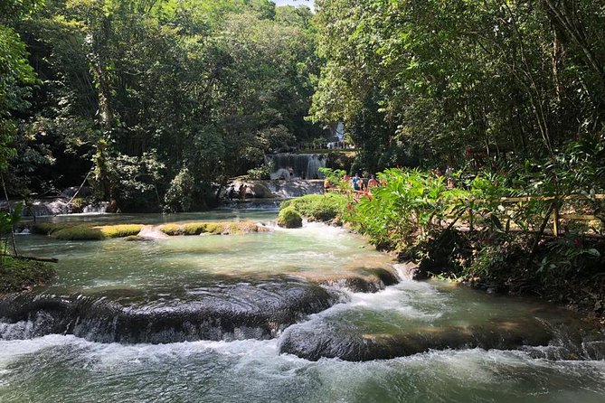 YS Falls, Black River Safari, and Floyd's Pelican Bar Day-Trip (Transportation) - Black River Safari through Jamaica’s lower morass