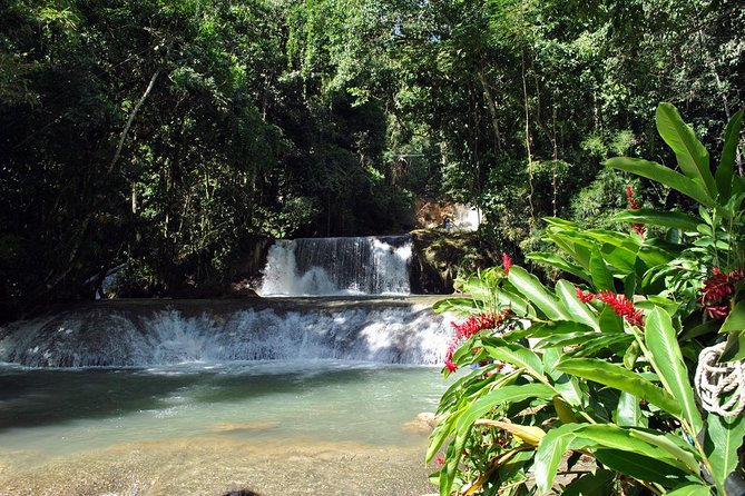 YS Falls, Black River Safari, Appleton Rum Tour OR Pelican Bar (Choose Up to 3) - Pick three: how to build your day