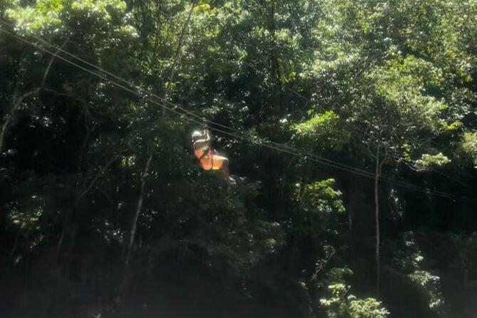 YS Falls, Black River Safari, Appleton Rum Tour OR Pelican Bar (Choose Up to 3) - The private vehicle is the real product