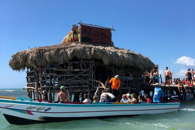 YS Falls, Black River Safari, Appleton Rum Tour OR Pelican Bar (Choose Up to 3) - Who should book this South Coast tour?